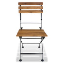 Folding Garden Chairs 2 pcs Steel and Solid Acacia Wood