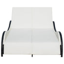 Double Sun Lounger with Cushion Poly Rattan Black