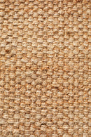 Vestibulum Rug - Basket.