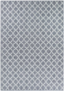 Pacific Light Grey Rug 9892-GU6E.