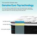 OrthoDream Euro Top Pocket Spring Mattress - Queen
