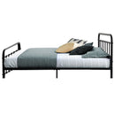 Ludo Queen Metal Bed Frame