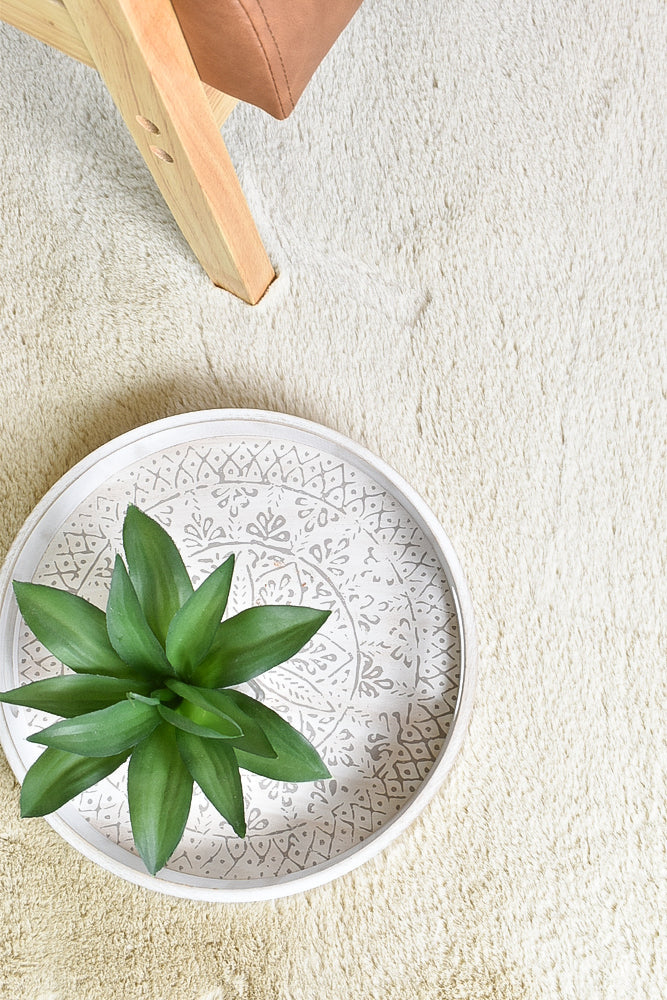 super Soft Shaggy Beige Rug.